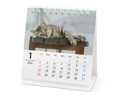 卓上カレンダー正方形リングタイプ